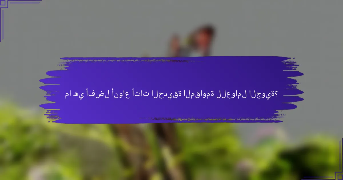 ما هي أفضل أنواع أثاث الحديقة المقاومة للعوامل الجوية؟